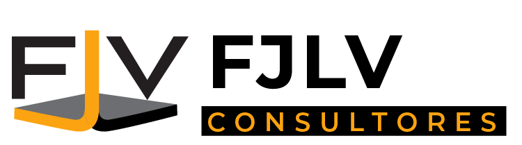 FJV Consultores
